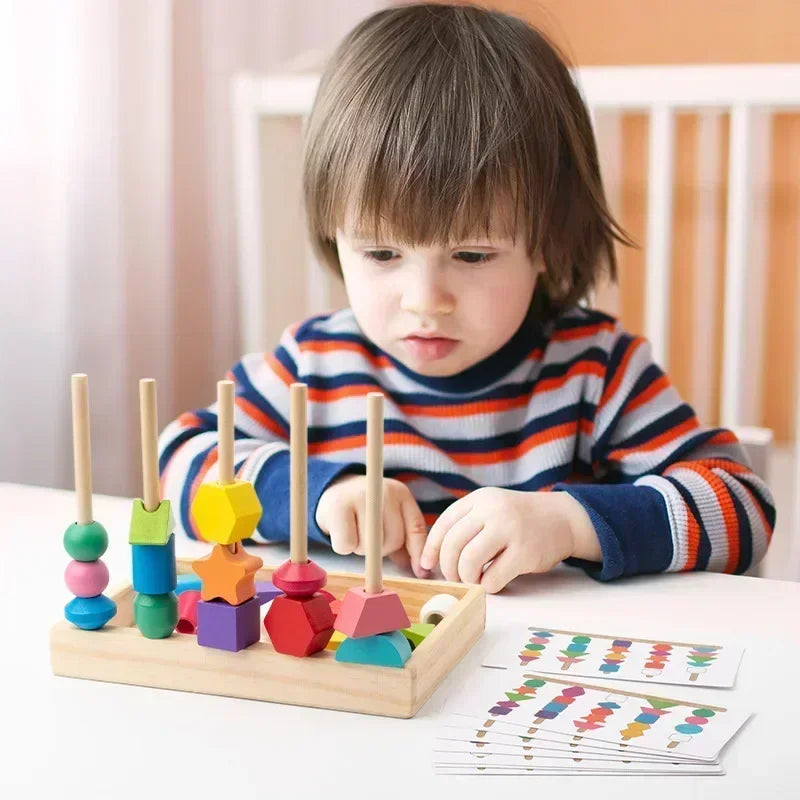 Montessori Wooden Colour & Shape Matching Puzzle