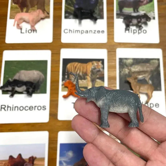 Montessori Educational Flash Cards and Figures Matching Game