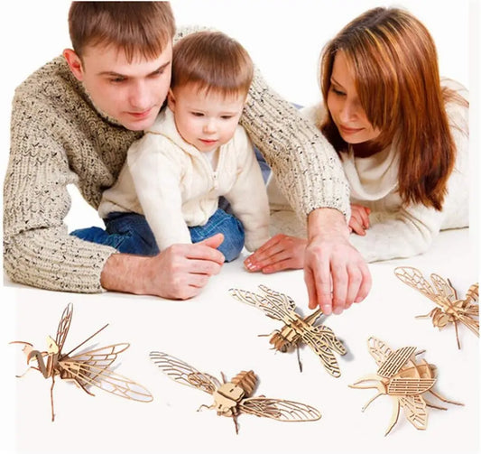 STEM 3D Wooden Skeleton Model Puzzle Sets - Insects