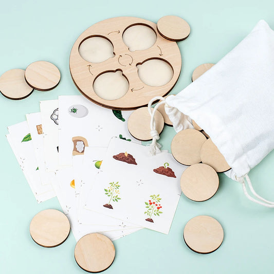 Montessori Life Cycle Learning Kit