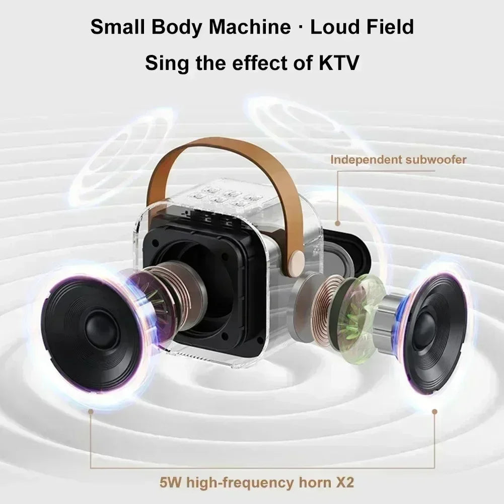 K12 Bluetooth Wireless Portable Karaoke Speaker with 2 Microphones