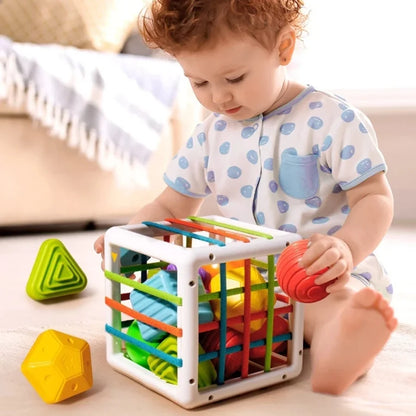 Educational Sensory Sorting Game for Ages 1–2
