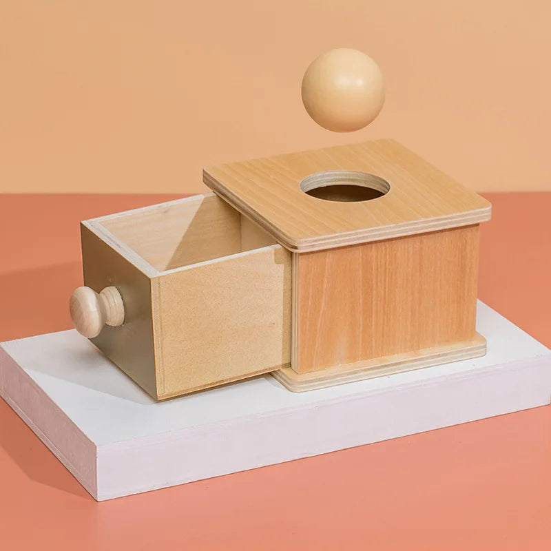 Montessori Wooden Colourful Sensory Sets for Babies