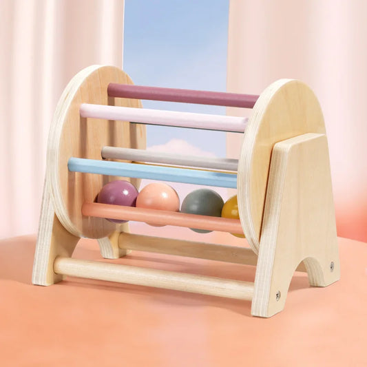 Montessori Wooden Colourful Sensory Sets for Babies