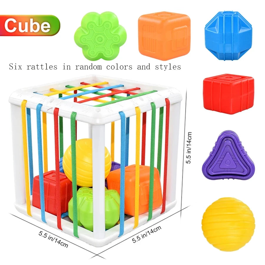 Educational Sensory Sorting Game for Ages 1–2