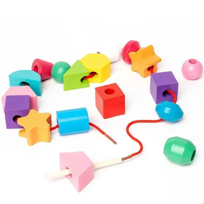 Montessori Wooden Colour & Shape Matching Puzzle