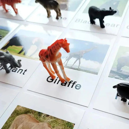 Montessori Educational Flash Cards and Figures Matching Game