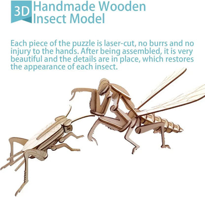 STEM 3D Wooden Skeleton Model Puzzle Sets - Insects