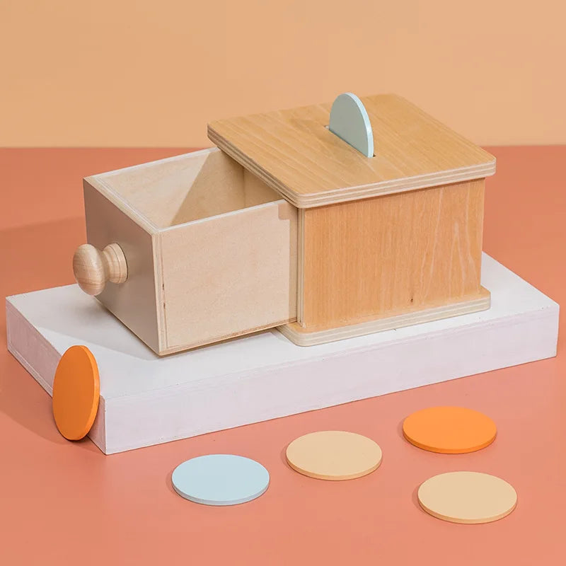 Montessori Wooden Colourful Sensory Sets for Babies