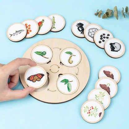 Montessori Life Cycle Learning Kit