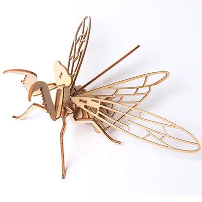 STEM 3D Wooden Skeleton Model Puzzle Sets - Insects
