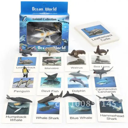 Montessori Educational Flash Cards and Figures Matching Game