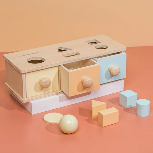 Montessori Wooden Colourful Sensory Sets for Babies