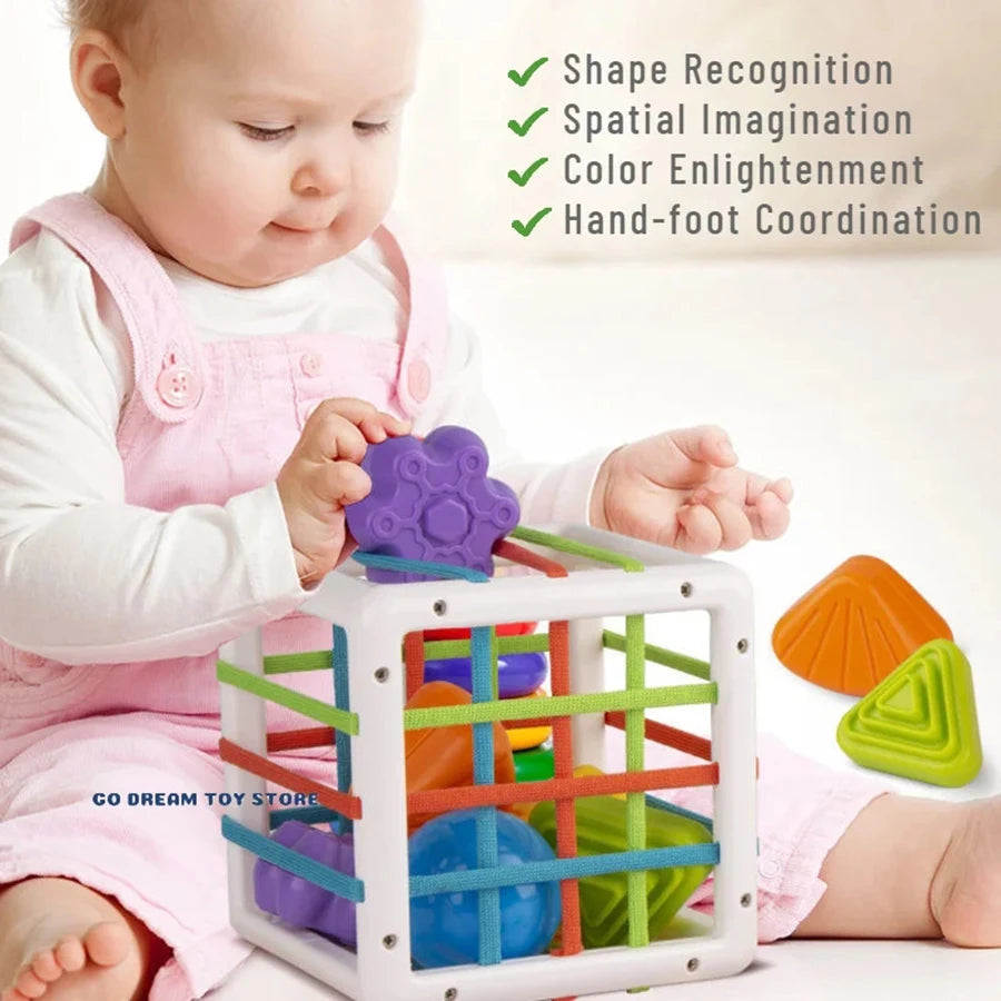 Educational Sensory Sorting Game for Ages 1–2