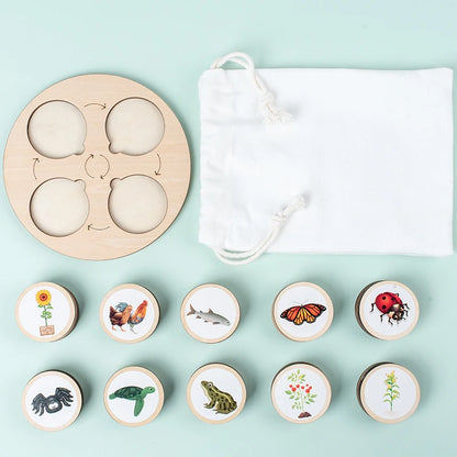 Montessori Life Cycle Learning Kit