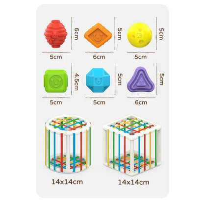 Educational Sensory Sorting Game for Ages 1–2