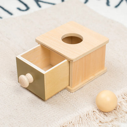 Montessori Wooden Colourful Sensory Sets for Babies