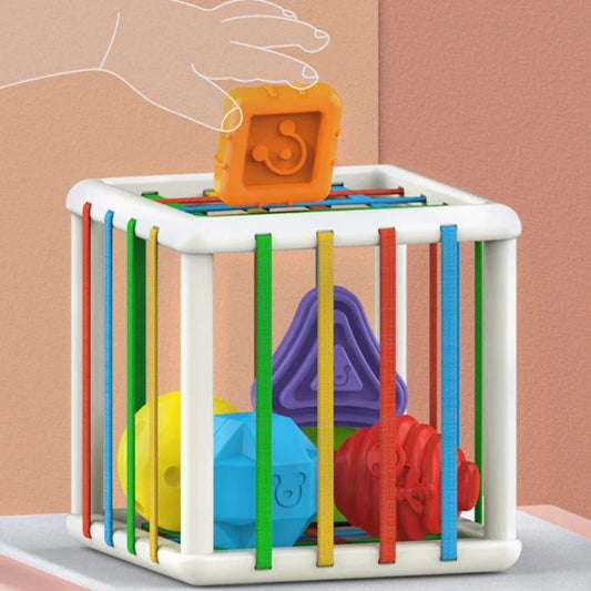 Educational Sensory Sorting Game for Ages 1–2