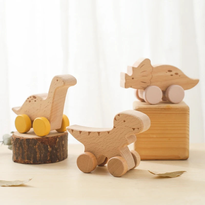 Beech Wood Teether & Montessori Educational Car Toys