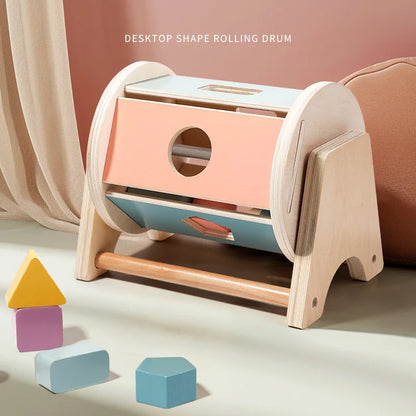 Montessori Wooden Colourful Sensory Sets for Babies