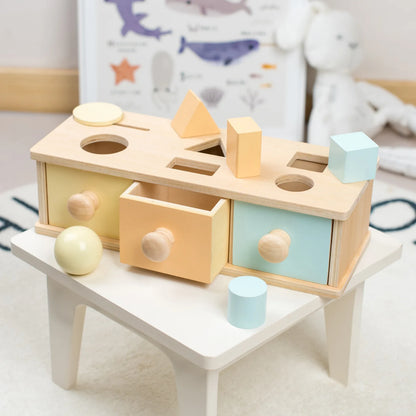 Montessori Wooden Colourful Sensory Sets for Babies