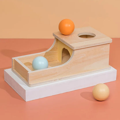 Montessori Wooden Colourful Sensory Sets for Babies