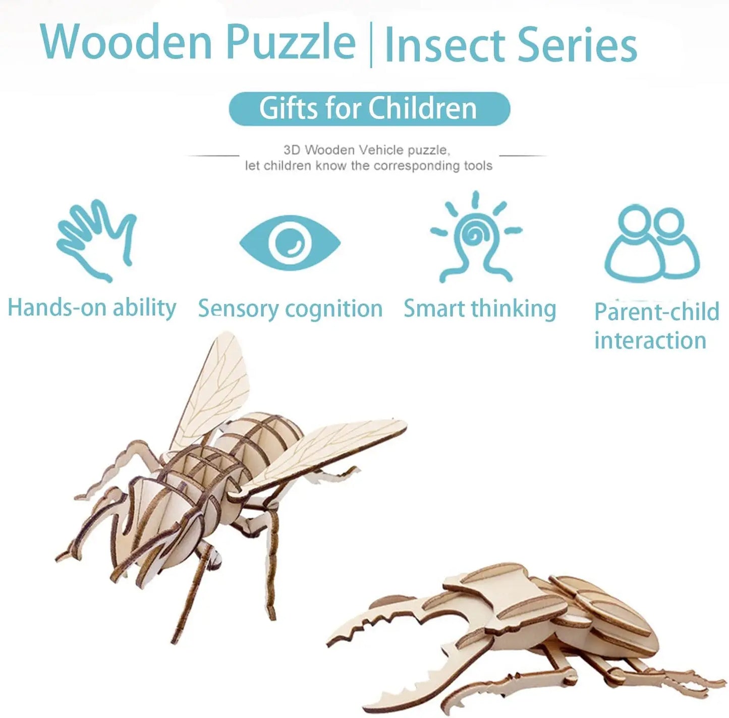 STEM 3D Wooden Skeleton Model Puzzle Sets - Insects