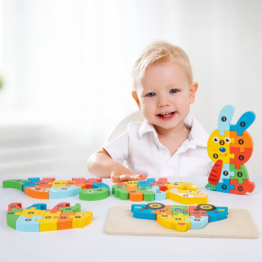 Wooden Puzzle Sets, Transport