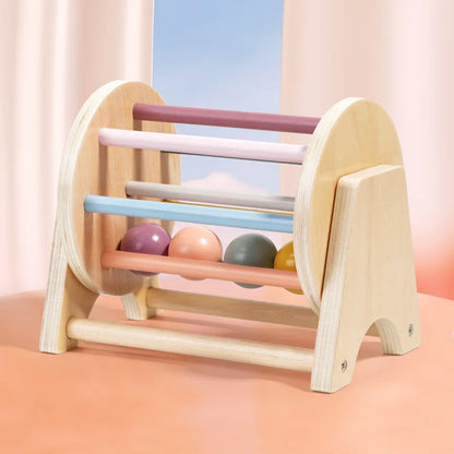 Montessori Wooden Colourful Sensory Sets for Babies
